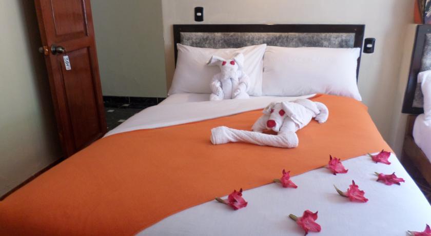 New Day Machu Picchu Hotell Aguas Calientes Eksteriør bilde