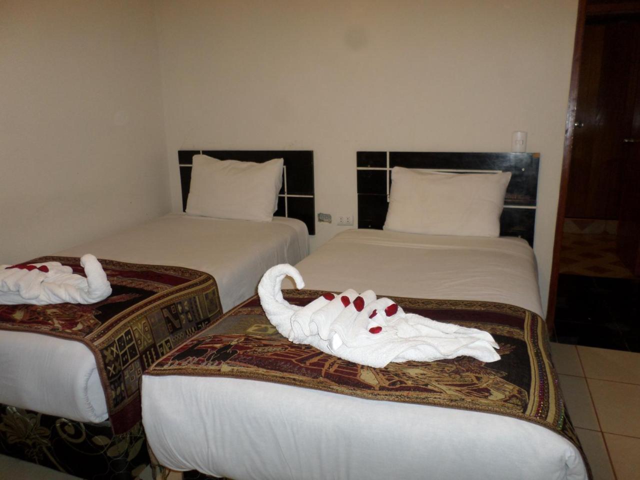 New Day Machu Picchu Hotell Aguas Calientes Eksteriør bilde